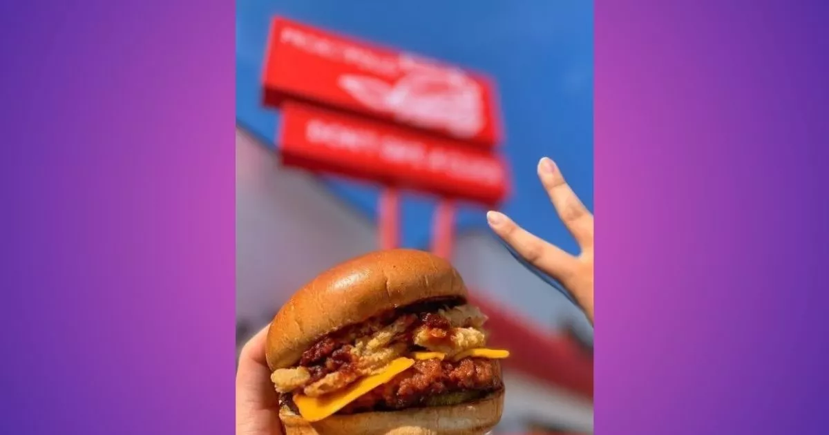 Project Pollo Net Worth