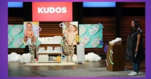 Kudos Diapers Net Worth