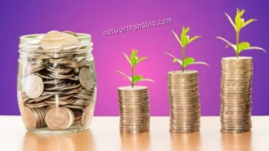 Why People Search for Celebrity Net Worth